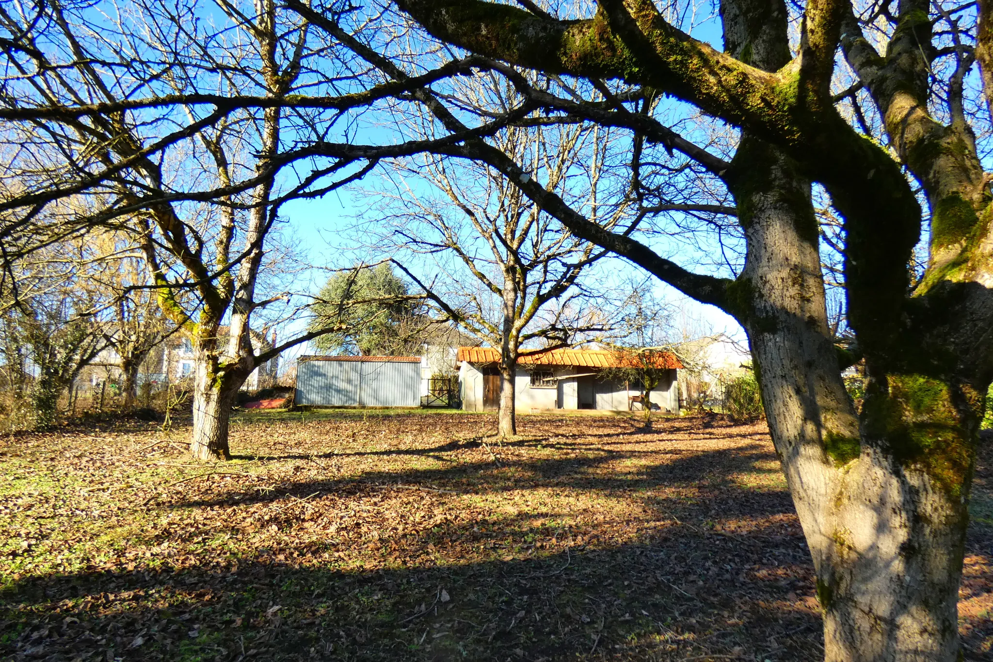 Maison en pierre avec grand terrain et potentiel d'aménagement à Jussac 
