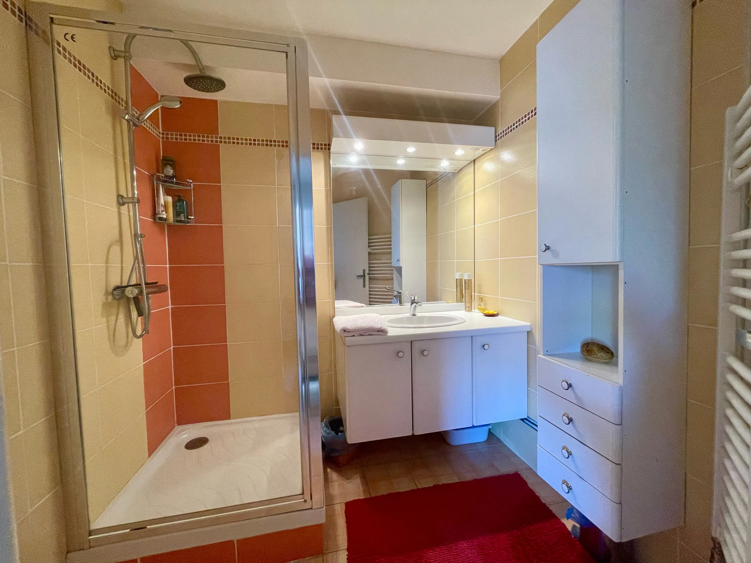 Appartement T4 à Échirolles avec balcon, cave et parking - Secteur Frange Verte / Village 
