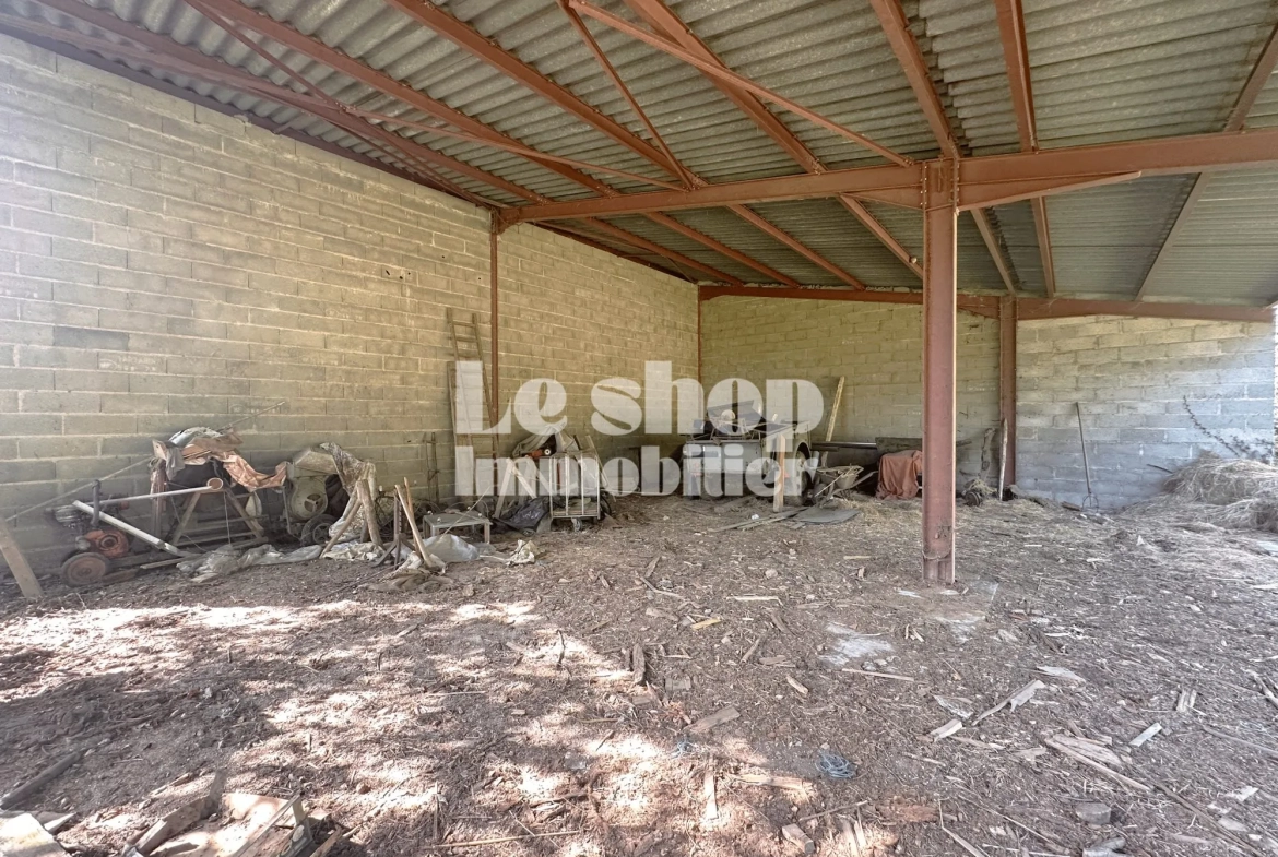 Charmante maison de campagne à vendre à Saint-Sylvestre, proche Limoges 
