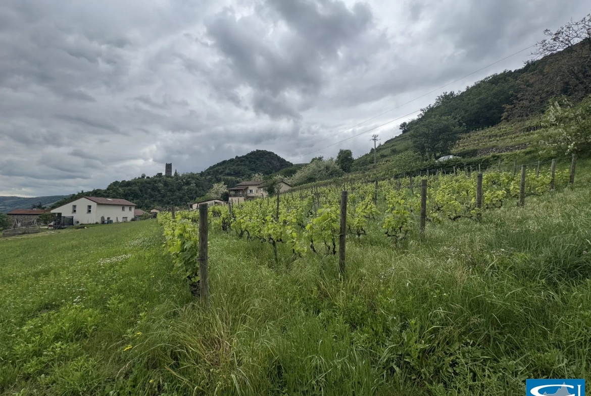 Terrain à bâtir de 1130 m² à Arras-sur-Rhône avec vue dégagée, viabilisé 