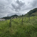 Terrain à bâtir de 1130 m² à Arras-sur-Rhône avec vue dégagée, viabilisé