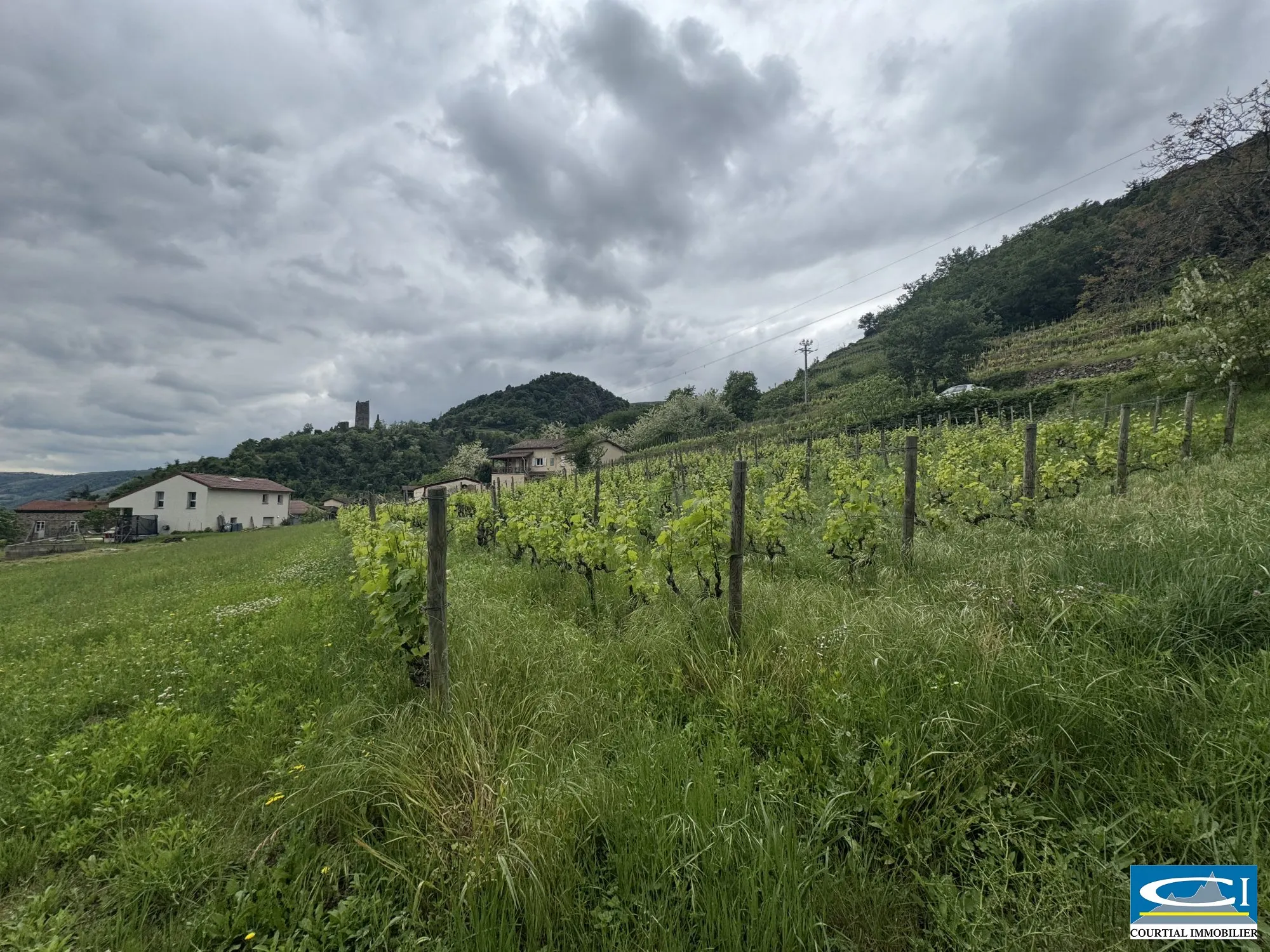 Terrain à bâtir de 1130 m² à Arras-sur-Rhône avec vue dégagée, viabilisé 