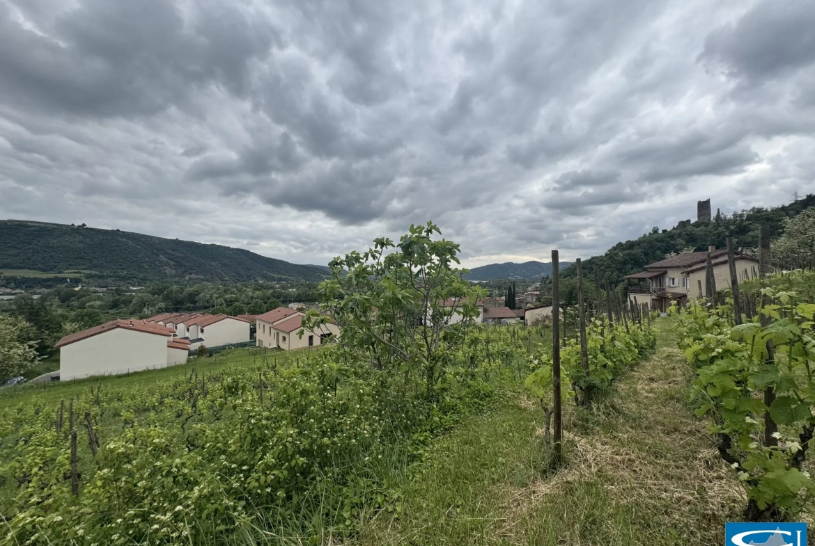 Terrain à bâtir de 1130 m² à Arras-sur-Rhône avec vue dégagée, viabilisé 