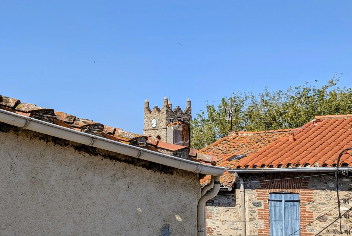 Belle maison de village rénovée avec terrasse à Villelongue dels Monts 