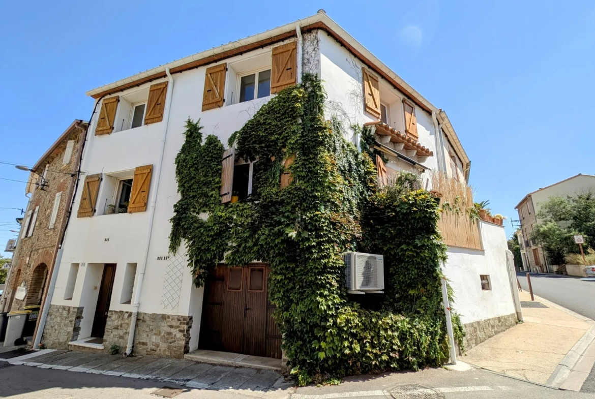 Belle maison de village rénovée avec terrasse à Villelongue dels Monts 