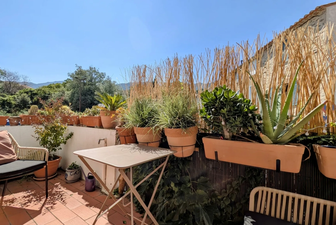 Belle maison de village rénovée avec terrasse à Villelongue dels Monts 