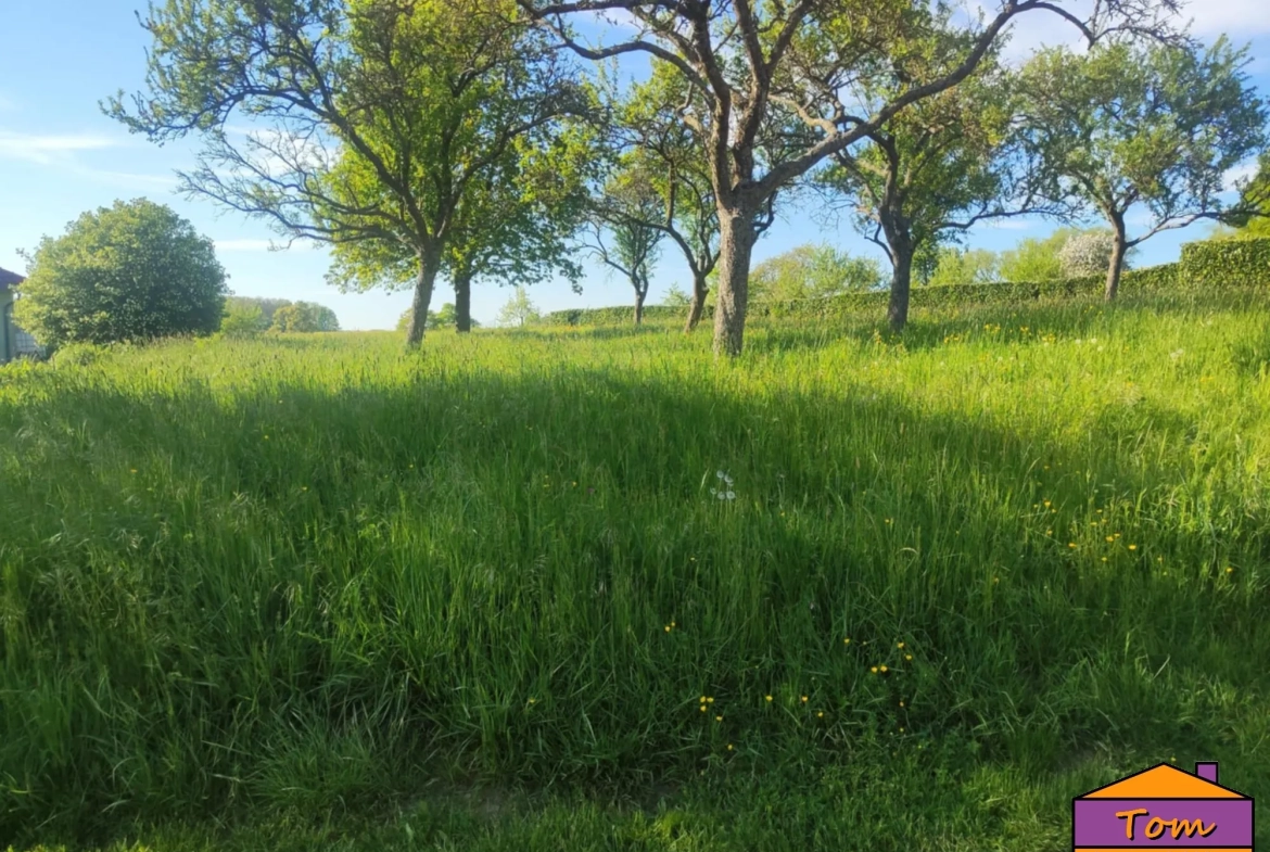 Terrain constructible de 1700 m² à Eschviller, proche frontière et calme 