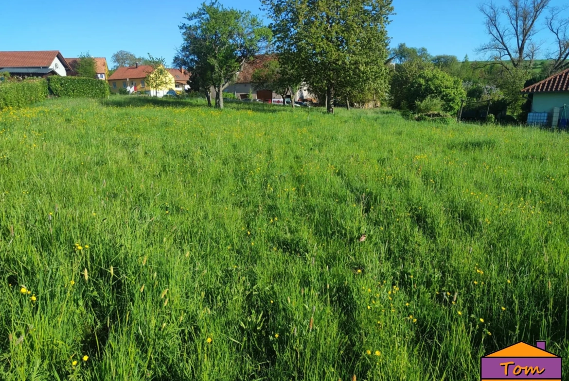 Terrain constructible de 1700 m² à Eschviller, proche frontière et calme 