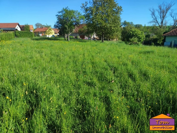 Terrain constructible de 1700 m² à Eschviller, proche frontière et calme