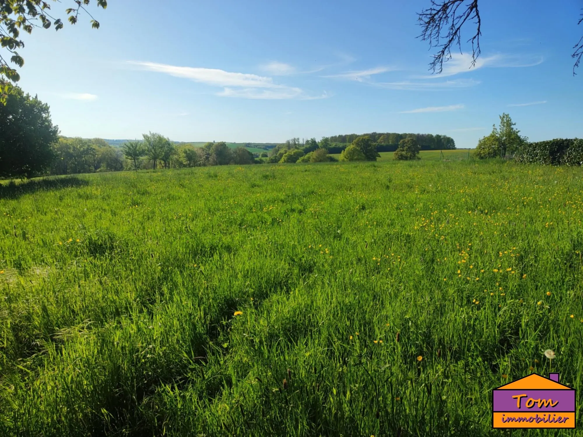 Terrain constructible de 1700 m² à Eschviller, proche frontière et calme 
