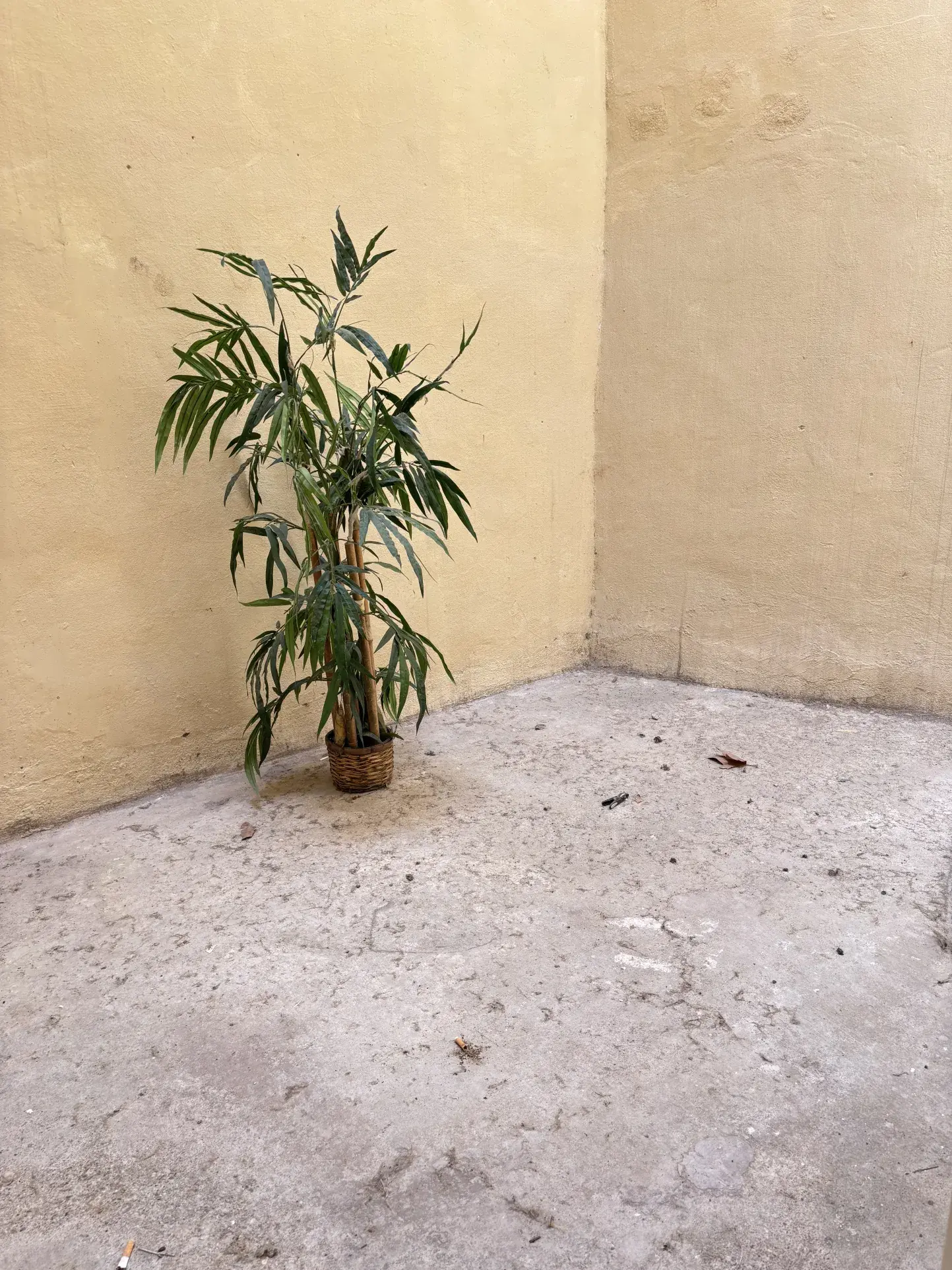 Appartement T3 avec cour à Montpellier Ecusson - Centre historique 