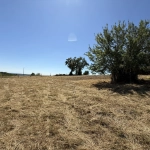 Terrain constructible à Abrest de 2650 m² avec vue sur les Puys