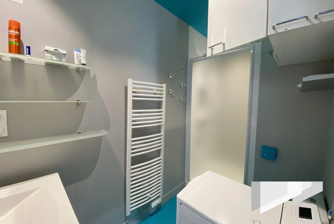 Charmant appartement T1/2 à Orléans, proche transports et commodités, avec cuisine équipée et lumineux séjour 
