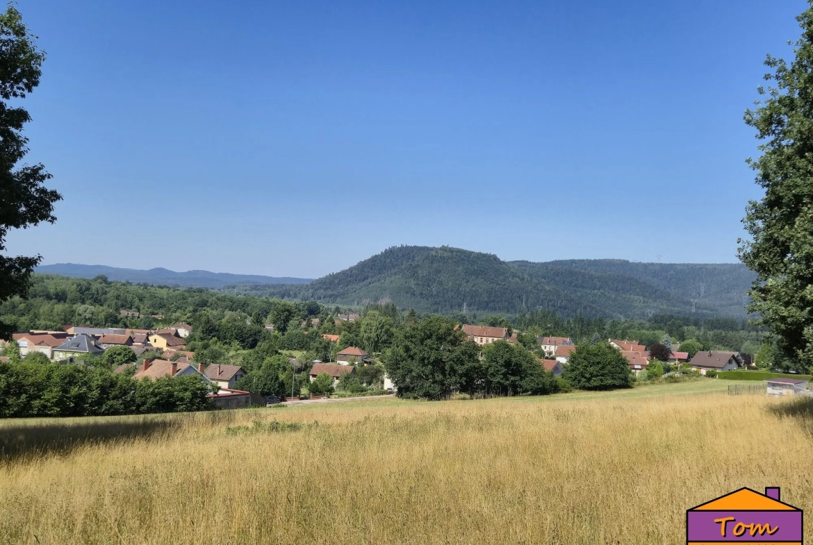 Terrain à bâtir de 3325m² à Moyenmoutier avec vue panoramique 