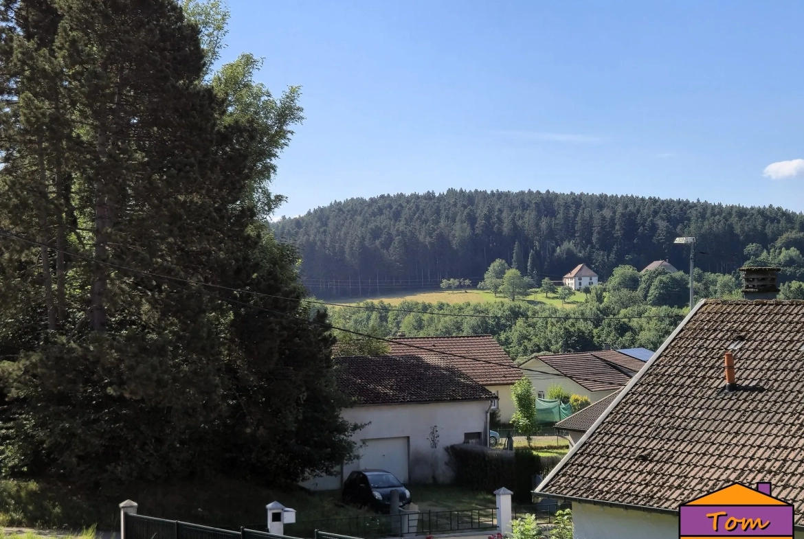Terrain à bâtir de 3325m² à Moyenmoutier avec vue panoramique 
