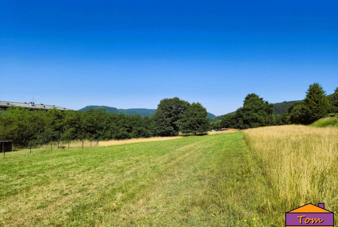 Terrain à bâtir de 3325m² à Moyenmoutier avec vue panoramique 