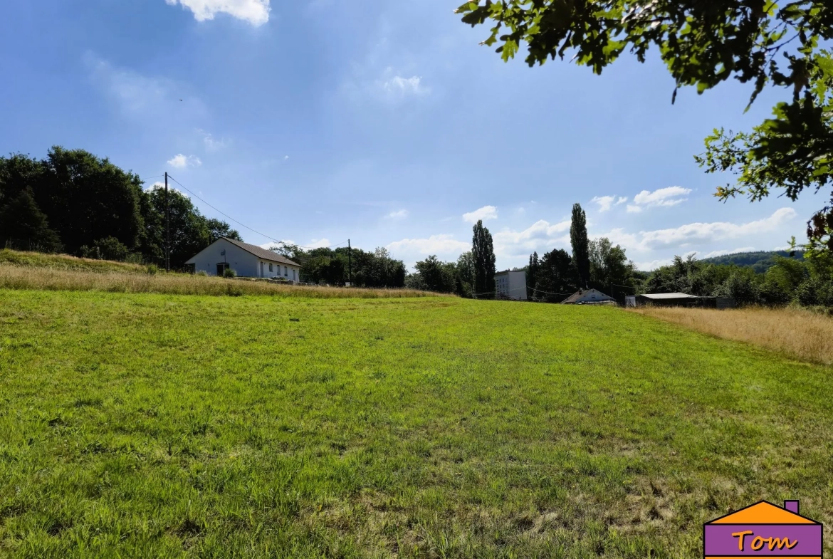 Terrain à bâtir de 3325m² à Moyenmoutier avec vue panoramique 