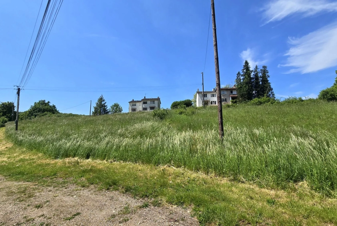 Terrain constructible à Crugey de 3 785 m² avec projet architectural 