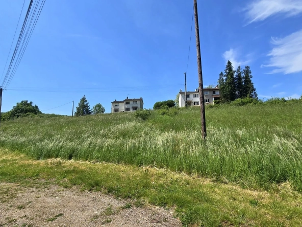 Terrain constructible à Crugey de 3 785 m² avec projet architectural