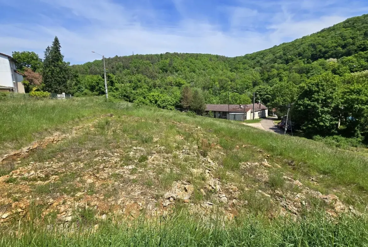 Terrain constructible à Crugey de 3 785 m² avec projet architectural 