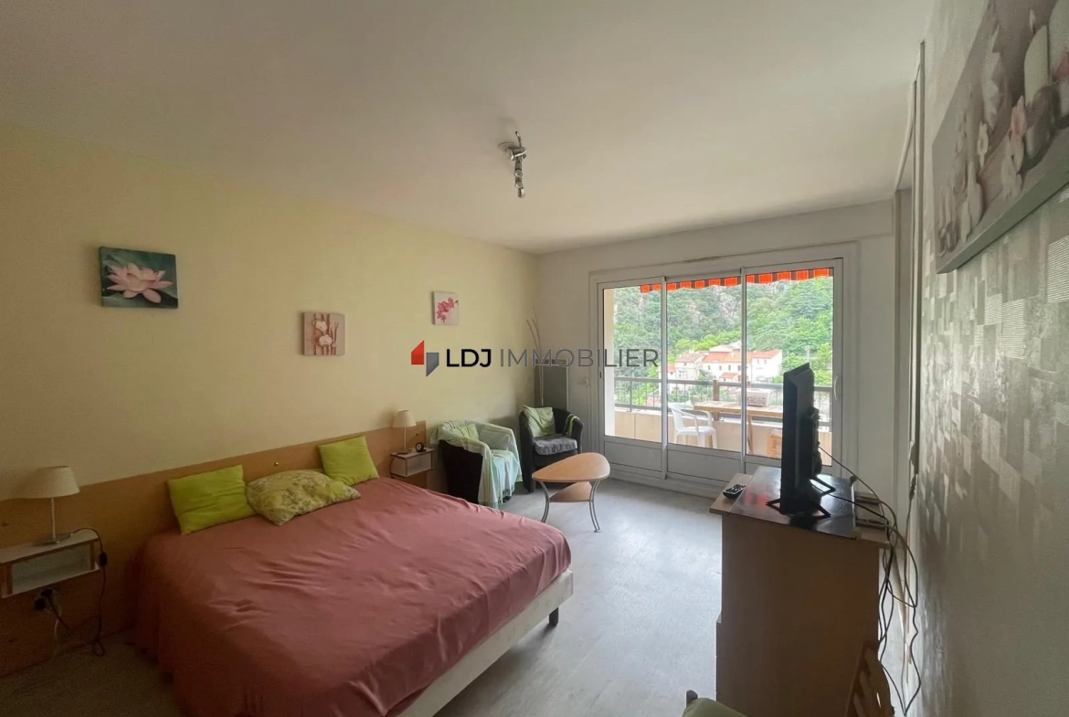 Studio meublé avec balcon et vue montagne à Amélie-les-Bains-Palalda 