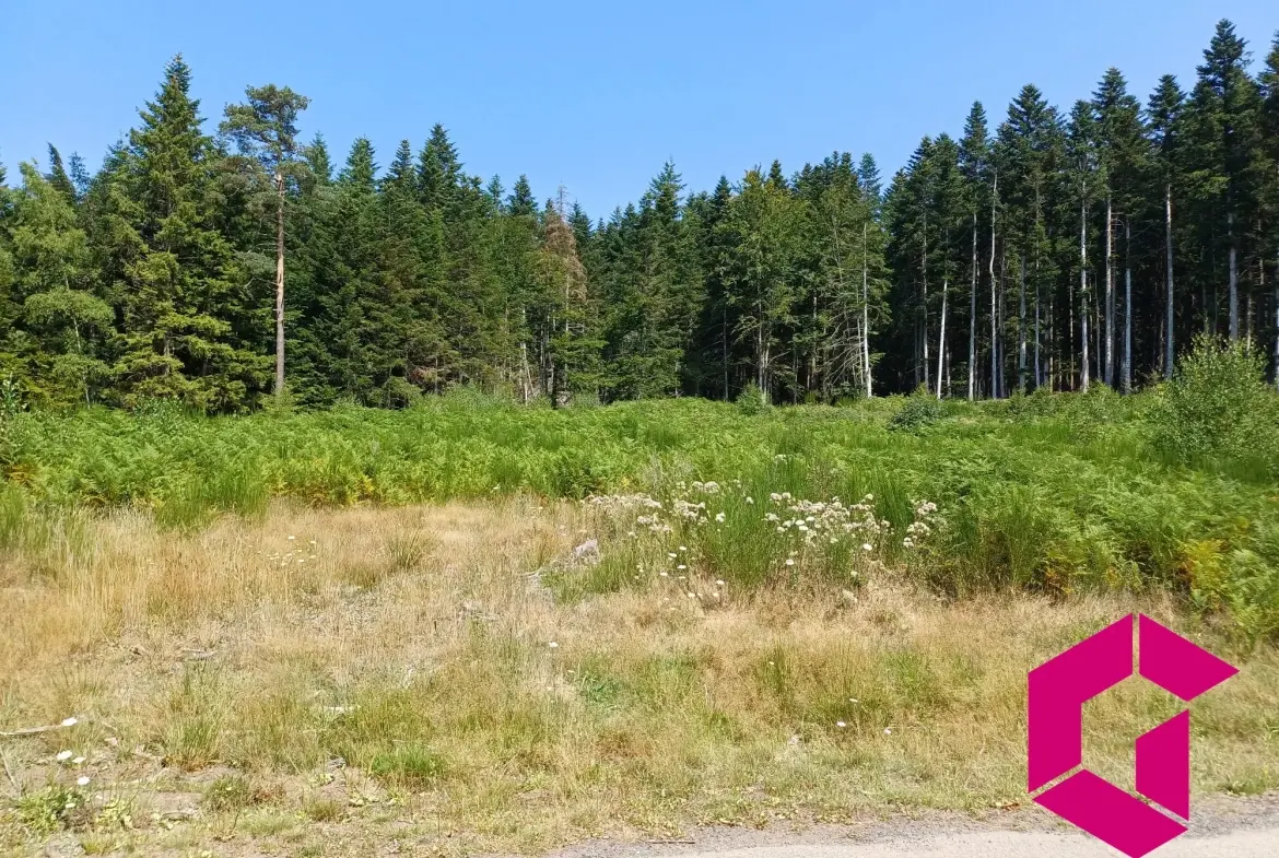 Terrain à vendre au Chambon-sur-Lignon - Constructible et boisé 