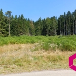 Terrain à vendre au Chambon-sur-Lignon - Constructible et boisé