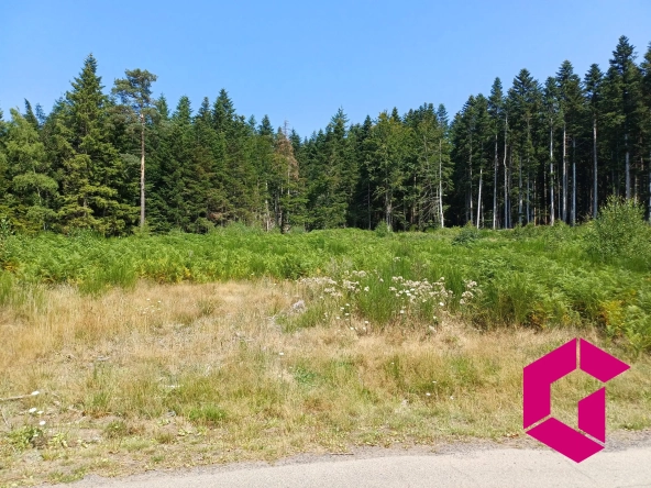 Terrain à vendre au Chambon-sur-Lignon - Constructible et boisé