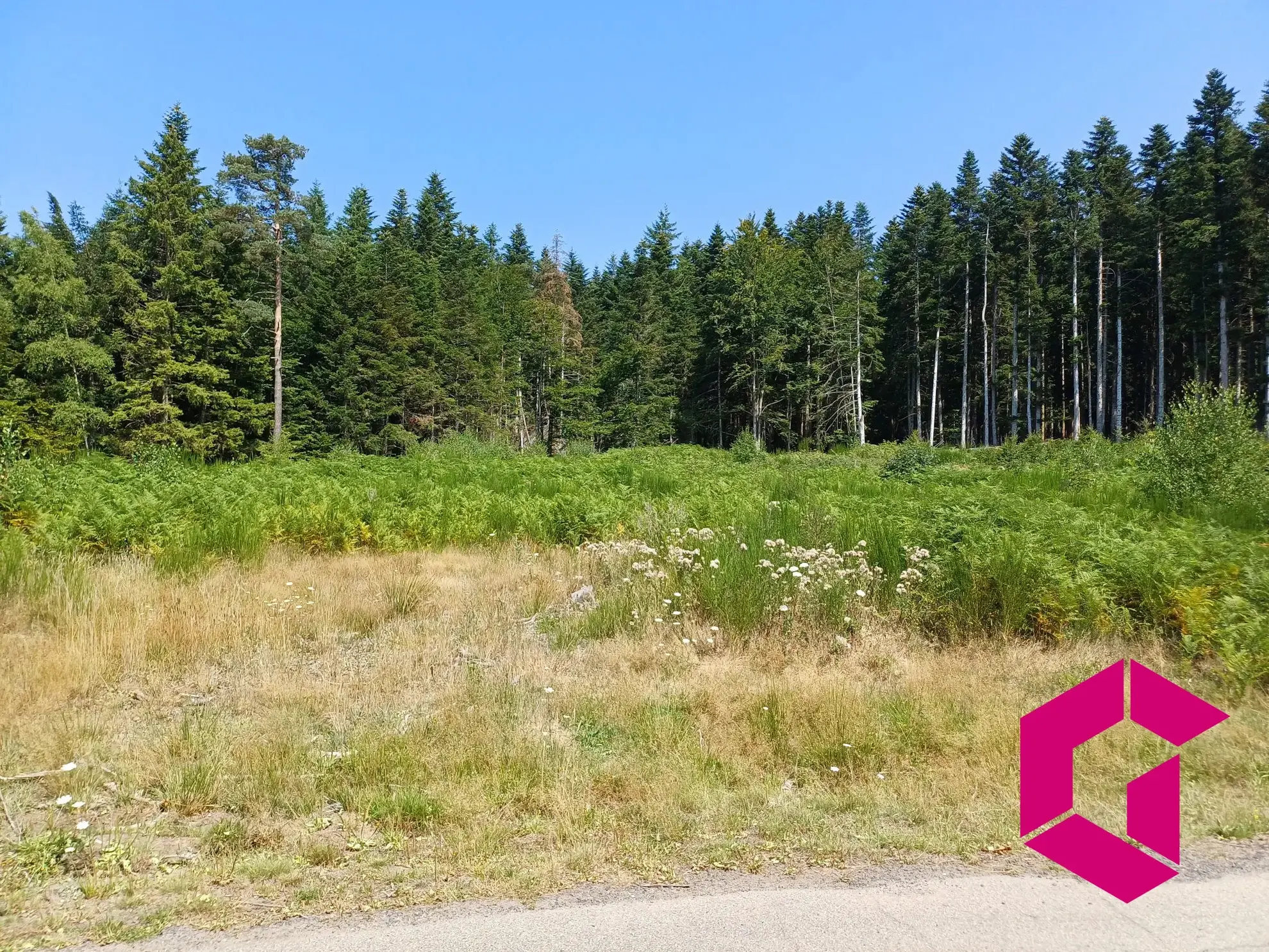 Terrain à vendre au Chambon-sur-Lignon - Constructible et boisé 