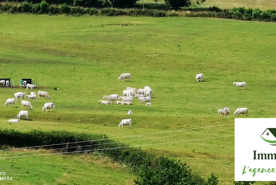 Maison de campagne spacieuse avec vue en Morvan près de Blismes 
