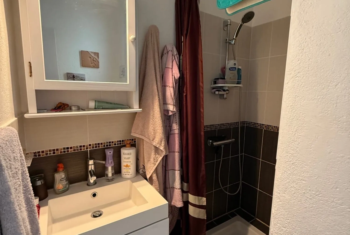 Bel appartement avec vue mer et montagne à Argeles-sur-Mer au 4ème étage 
