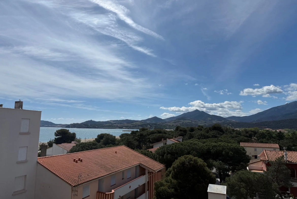 Bel appartement avec vue mer et montagne à Argeles-sur-Mer au 4ème étage 