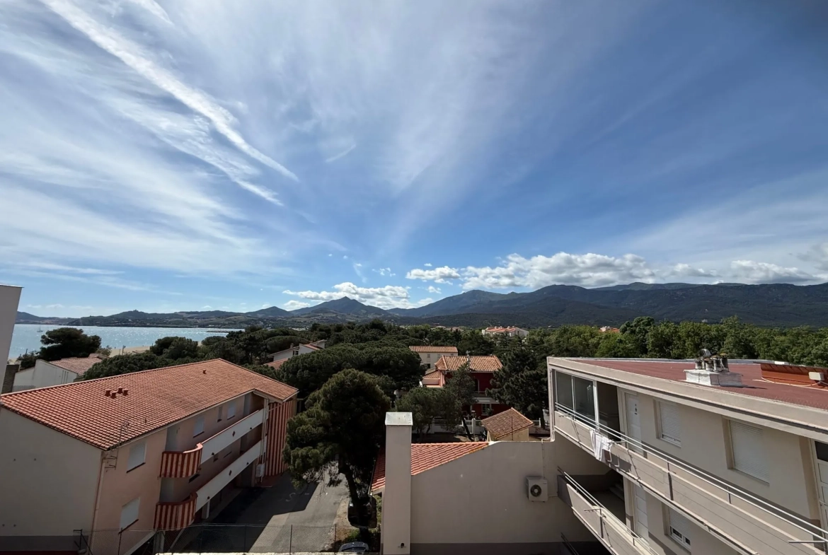 Bel appartement avec vue mer et montagne à Argeles-sur-Mer au 4ème étage 