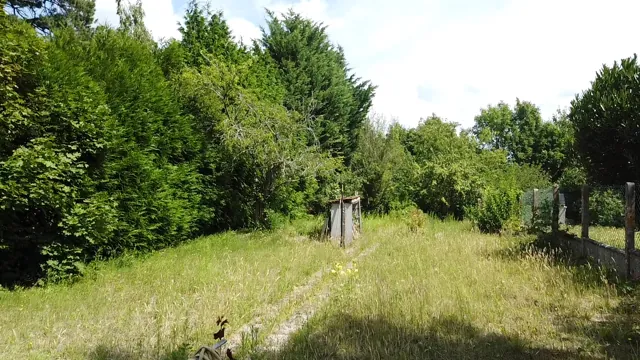 Maison individuelle de plain-pied à Montlhéry avec grand jardin et 2 chambres 