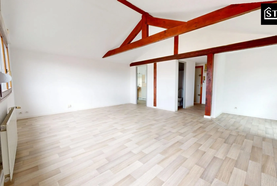 Appartement T3/4 lumineux avec jardin, cave à Belfort - Investissement ou résidence principale 