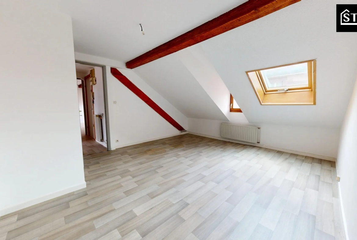 Appartement T3/4 lumineux avec jardin, cave à Belfort - Investissement ou résidence principale 