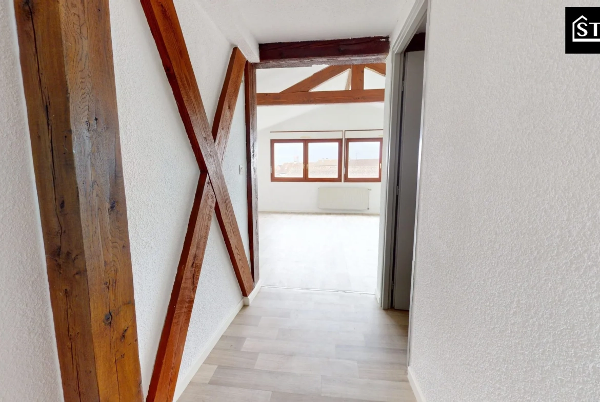 Appartement T3/4 lumineux avec jardin, cave à Belfort - Investissement ou résidence principale 