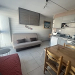 Appartement T2 avec Vue sur les Pyrénées au Pla d'Adet