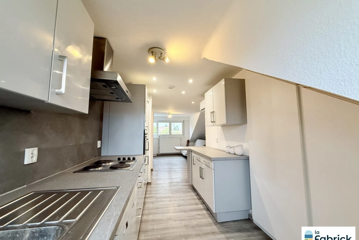 Appartement lumineux et rénové de 46m² à Strasbourg – Dernier étage, meublé 
