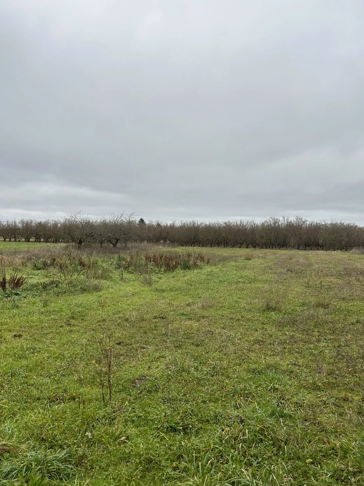 Terrain à bâtir de 2069 m² à Saint-Hilaire-Saint-Mesmin, prêt à construire 