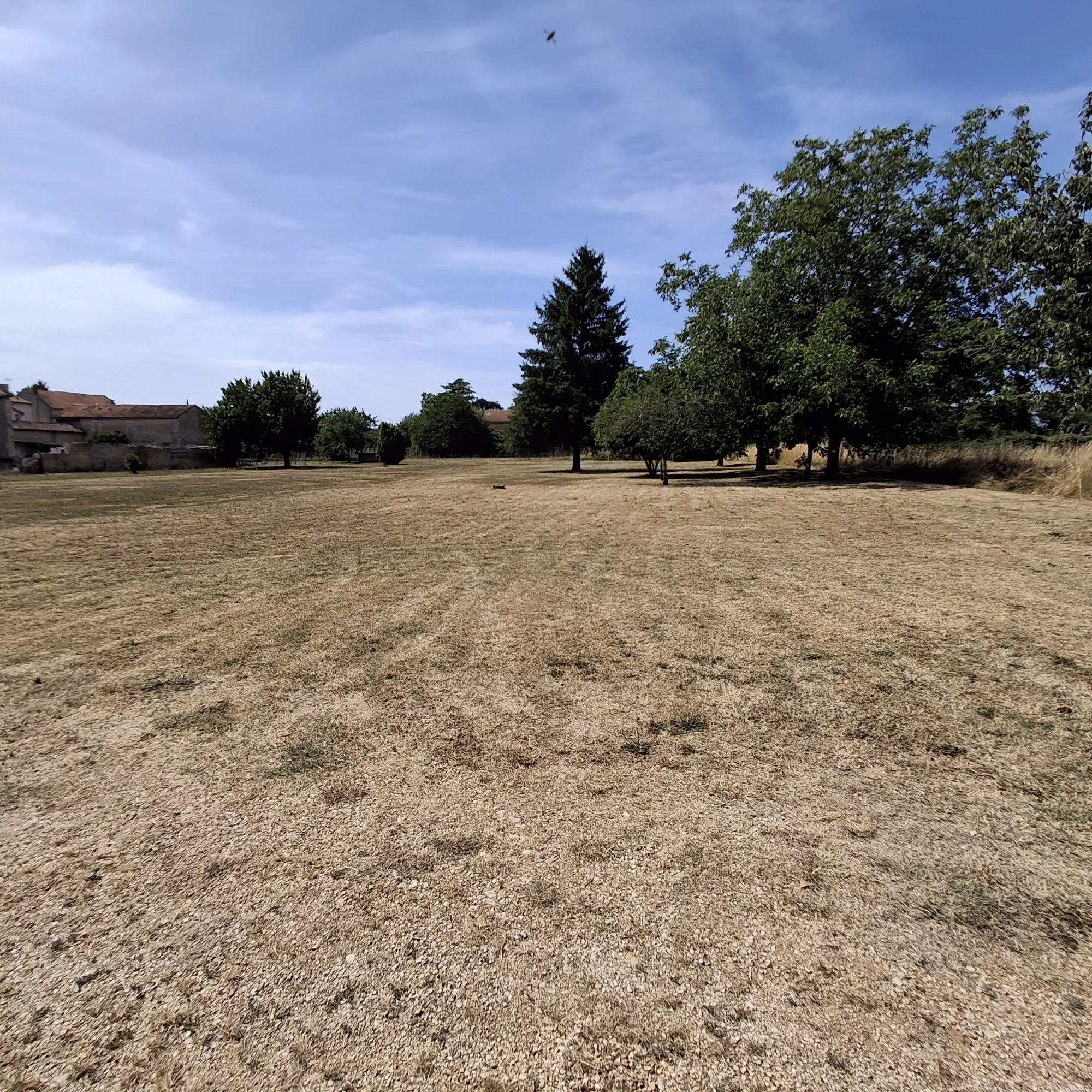 Terrain constructible non viabilisé à Aunac - Opportunité à saisir 