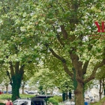 Appartement 2 pièces à Brest, proximité Penfeld et centre-ville