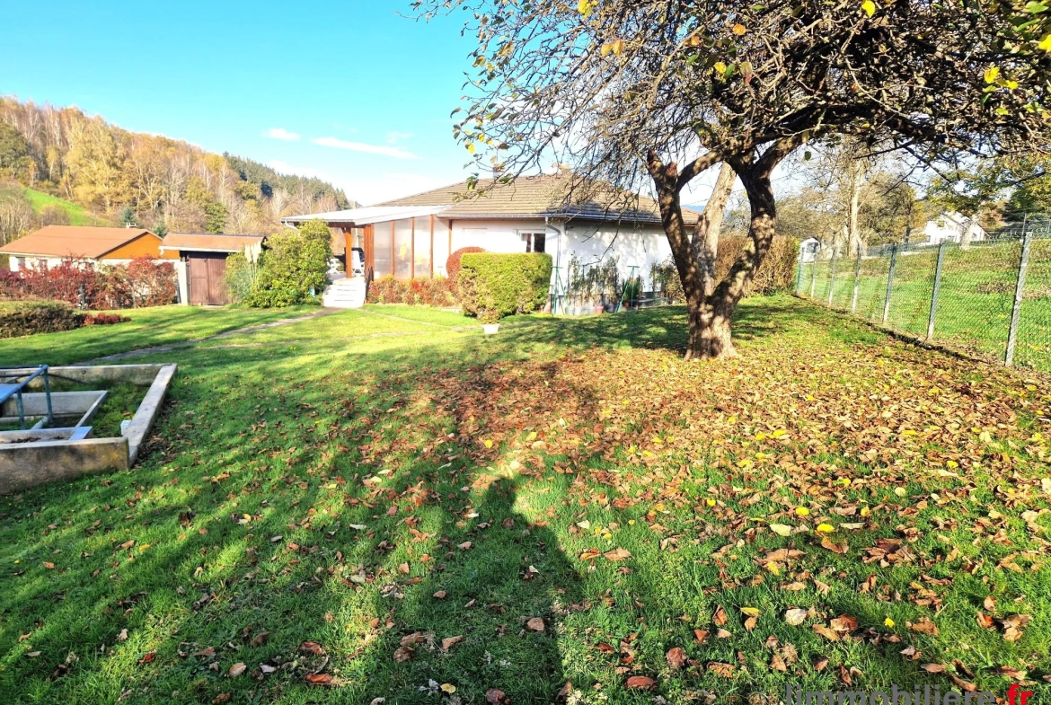 Maison en viager occupé à Ban de Laveline, 102 m², terrain arboré, sans rente 