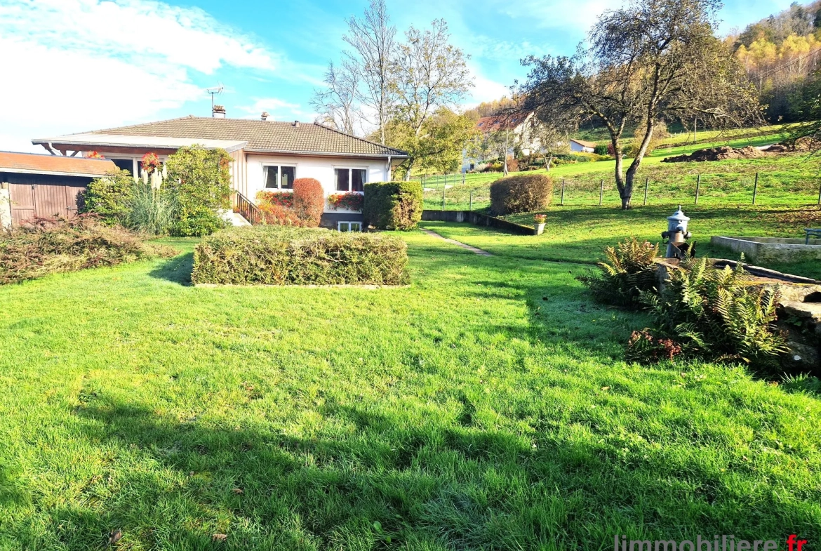 Maison en viager occupé à Ban de Laveline, 102 m², terrain arboré, sans rente 