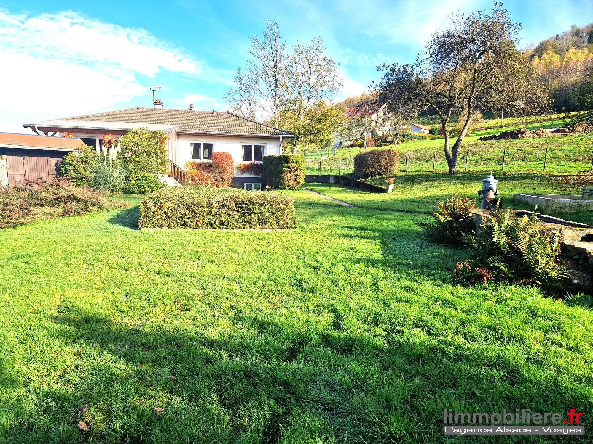 Maison en viager occupé à Ban de Laveline, 102 m², terrain arboré, sans rente 