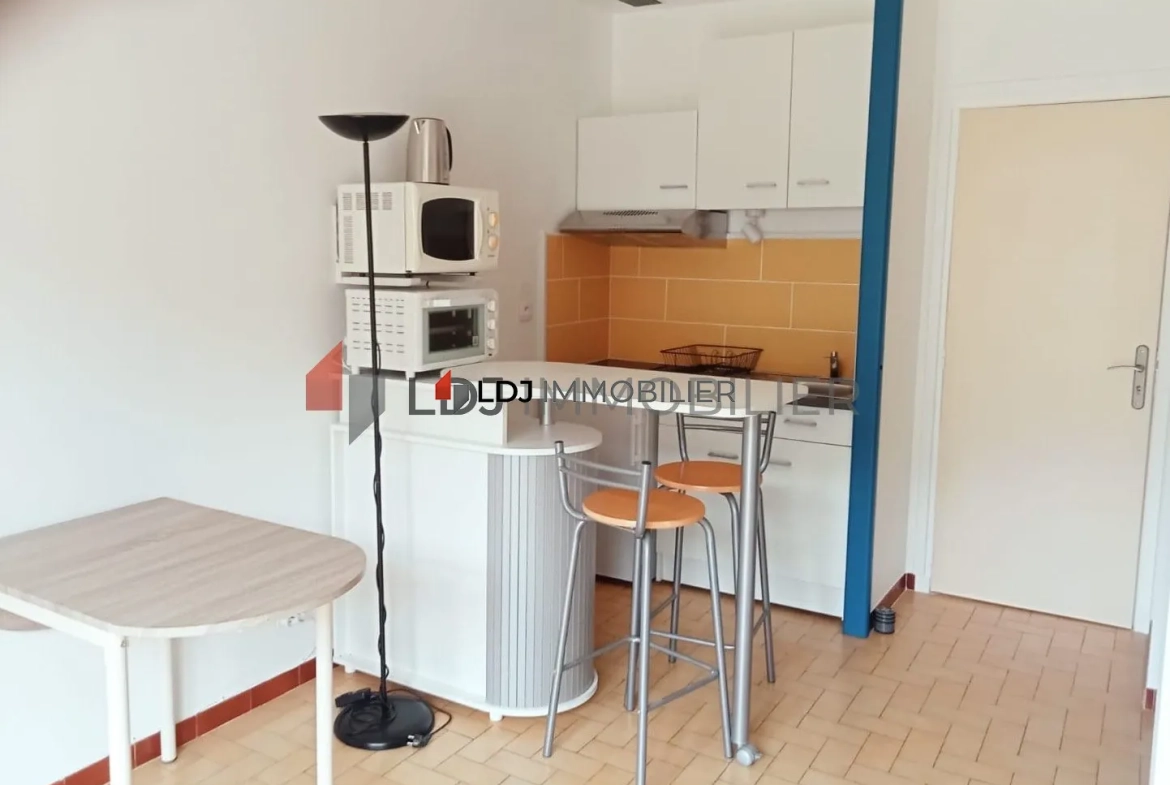 Studio lumineux meublé de 18,75 m² avec balcon à Amélie-les-Bains-Palalda 