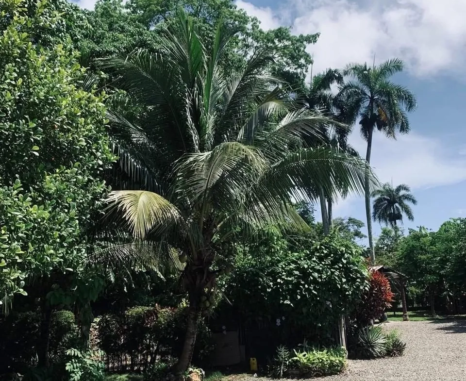 Villa moderne de 91 m² à El Limon, vue imprenable et terrasse ensoleillée 
