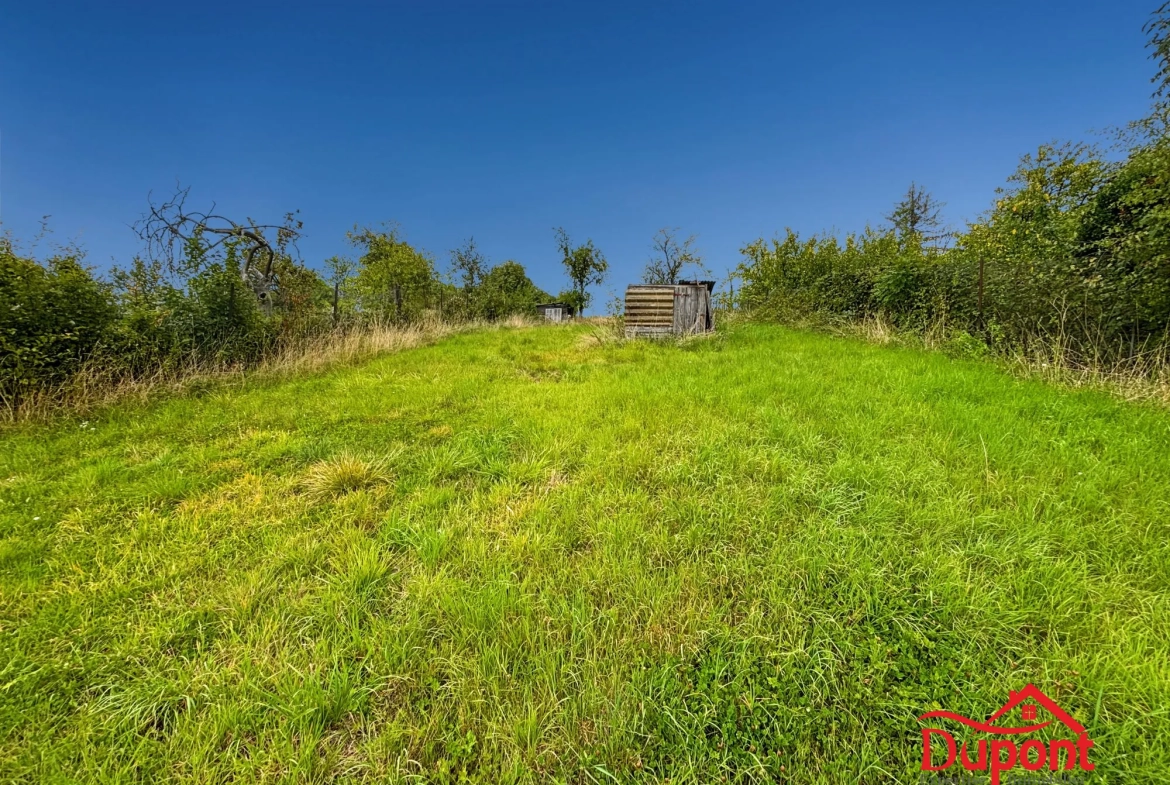 Maison à Rumigny avec dépendances et vue imprenable - Opportunité rare 