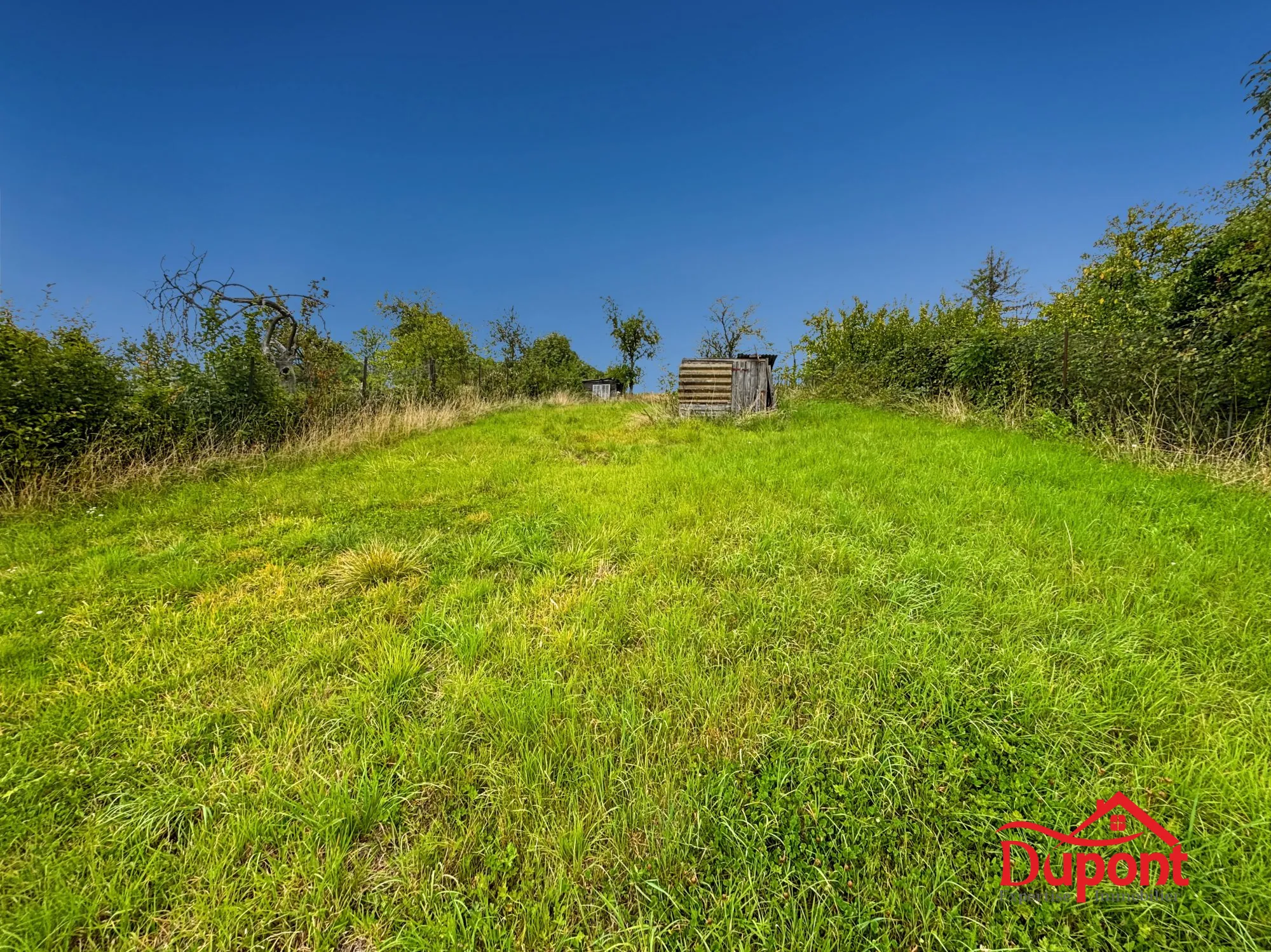Maison à Rumigny avec dépendances et vue imprenable - Opportunité rare 