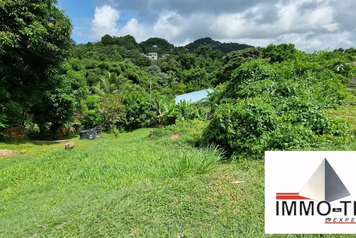 Terrain constructible au Robert de 407 m² en vente - Opportunité rare en Martinique 